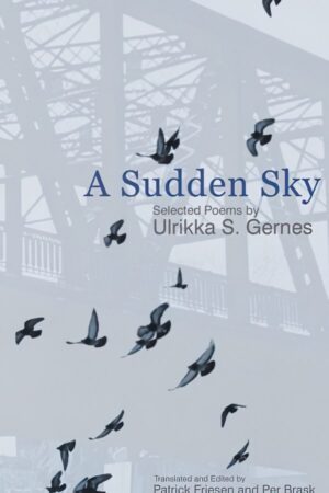 A Sudden Sky by Ulrikka S. Gernes