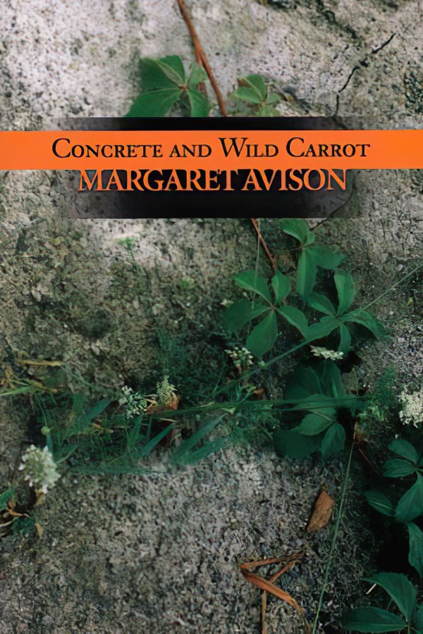 Concrete and Wild Carrot by Margaret Avison