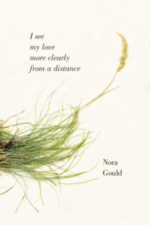 I see my love more clearly from a distance by Nora Gould