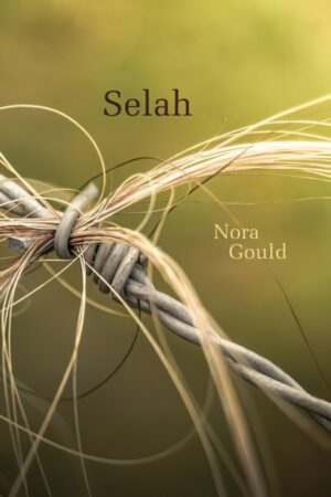 Selah by Nora Gould