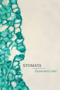 Stomata by Genevieve Lehr