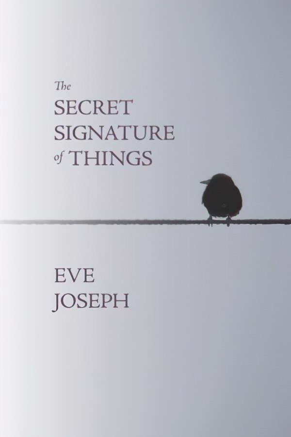 The Secret Signature of Things by Eve Joseph