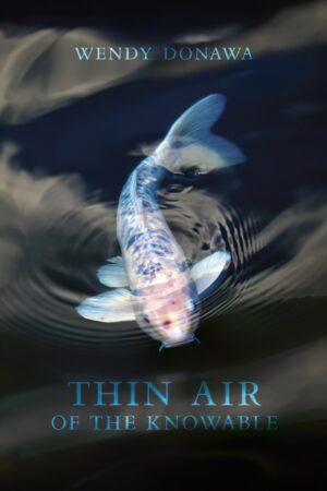 Thin Air of the Knowable by Wendy Donawa