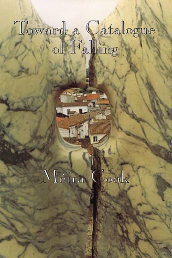 Toward a Catalogue of Falling by Méira Cook
