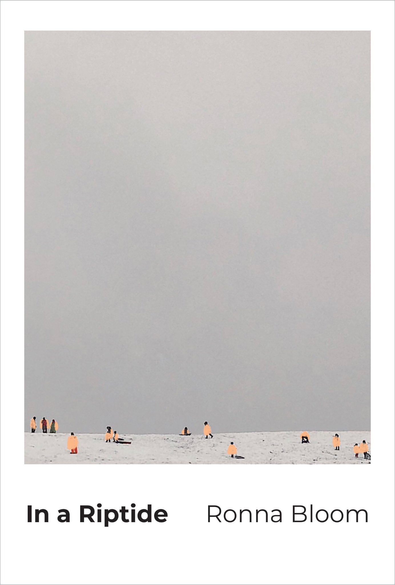 Cover of In a Riptide by Ronna Bloom